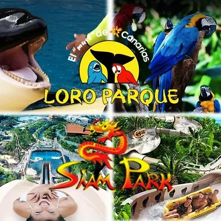 823 Estudio Con Terraza Martianez