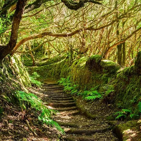 823 Estudio Con Terraza Martianez プエルト・デ・ラ・クルス