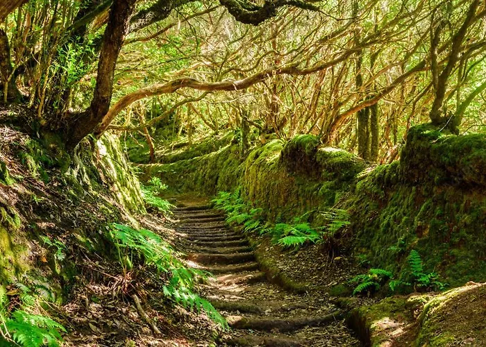 823 Estudio Con Terraza Martianez プエルト・デ・ラ・クルス