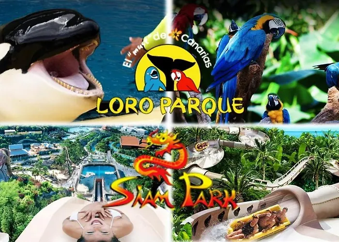 823 Estudio Con Terraza Martianez