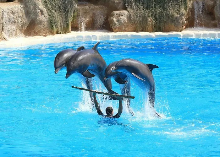 アパート 823 Estudio Con Terraza Martianez プエルト・デ・ラ・クルス